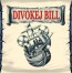 Divokej_Bill-2006